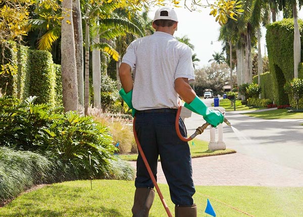 About Rockville MN Pest Control Pros